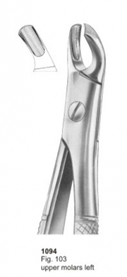  Fig. 103 upper molars left 